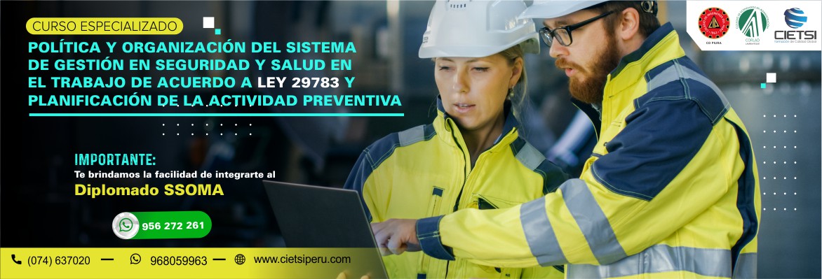 CURSO ESPECIALIZADO POLÍTICA Y ORGANIZACIÓN DEL SISTEMA DE GESTIÓN EN SEGURIDAD Y SALUD EN EL TRABAJO DE ACUERDO A LEY 29783 Y PLANIFICACIÓN DE LA ACTIVIDAD PREVENTIVA